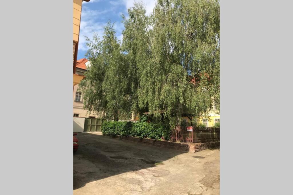 Rose Apartments / Romantic & Cozy / City Center Prague Ngoại thất bức ảnh