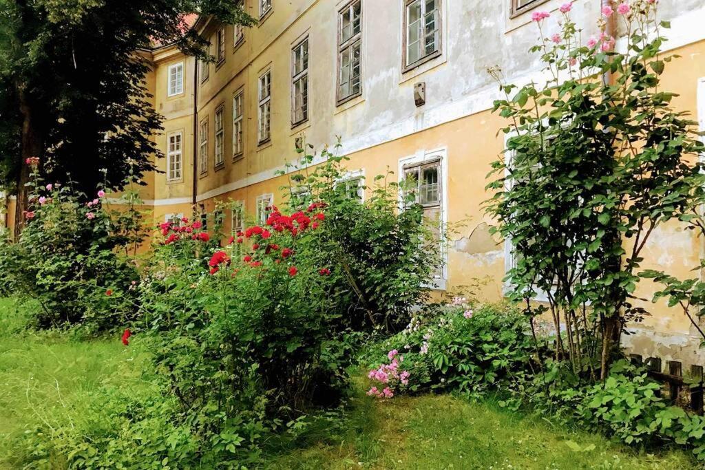 Rose Apartments / Romantic & Cozy / City Center Prague Ngoại thất bức ảnh